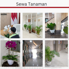 Sewa Tanaman