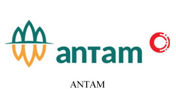 Technology Partners